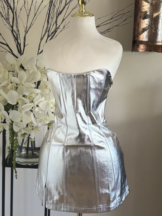 Silver Strapless Dress